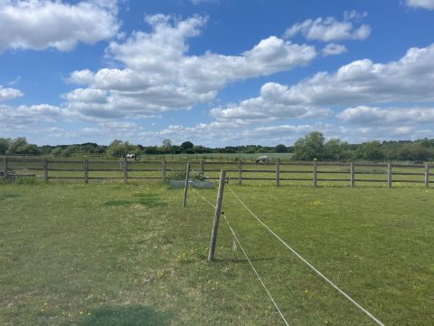 Grazing