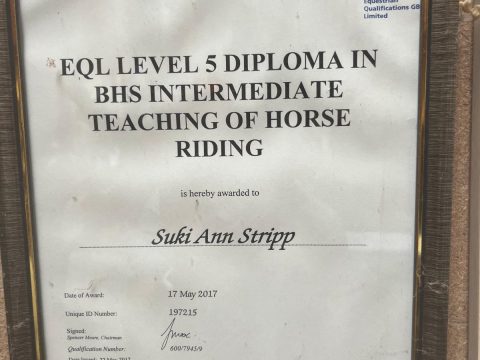 Intermediate Teaching Certificate