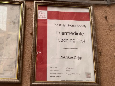 Intermediate Teaching Qualification