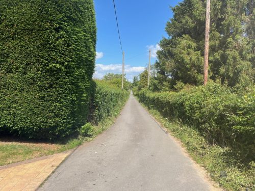 6da36638-cf17-4caa-bbf5-7f4b0525ff40 (1)