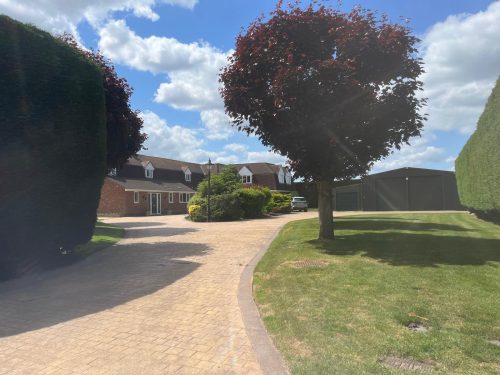 893b048c-8931-4e2f-a22d-399931cde0f2 (1)