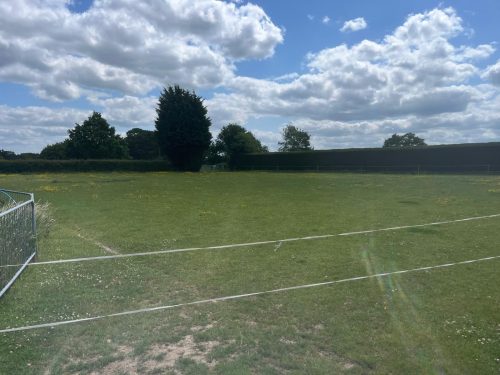 977ea403-b0cd-4544-908c-9850d2bf4cdf (1)