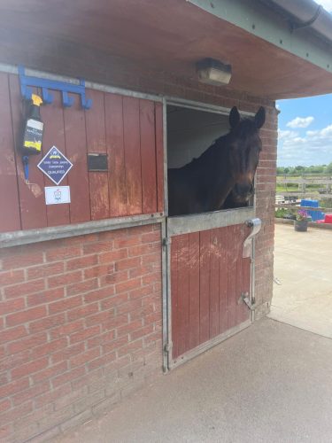 9830c167-5c54-41ec-bd68-5916f3bd4414 (1)